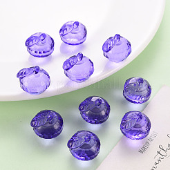 Прозрачные акриловые подвески&nbsp;TACR-T024-05B-936