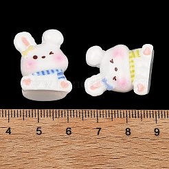 Cabochons di opaco resina&nbsp;RE-C001-02
