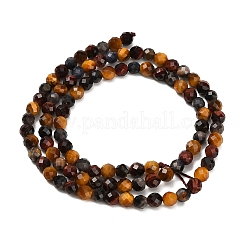 Трехцветные нити бусин из натурального тигрового глаза&nbsp;G-L642-F08-4mm