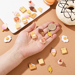 24шт 12 стиля непрозрачные подвески из смолы&nbsp;CRES-YW0001-34