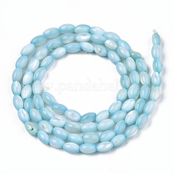 Naturali di acqua dolce perline shell fili&nbsp;SHEL-N003-25-B02