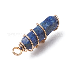 2 Stück 2 Stile natürlicher Lapislazuli&nbsp;PALLOY-JF03122-04