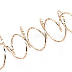 201 подвеска для растений из нержавеющей стали&nbsp;STAS-N120-02G