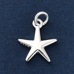 925 Sterling Silber Charme&nbsp;FIND-Z069-04S-A