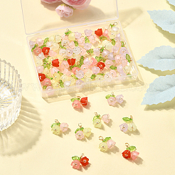 50 шт. двухцветные акриловые подвески&nbsp;FIND-SC0019-74