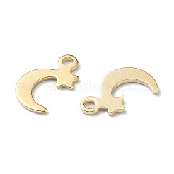 60 шт. 12 подвески из нержавеющей стали 304 и 201&nbsp;STAS-FS0001-40