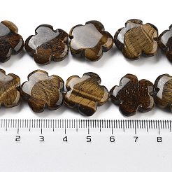 Природных тигровый глаз бисер нитей&nbsp;G-F769-H01-02