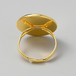 Componenti dell'anello regolabile in ferro&nbsp;IFIN-WH0073-42C-01