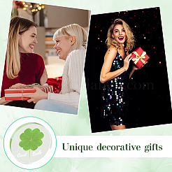 Акриловый кабошоны&nbsp;OACR-WH20008-02