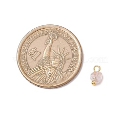 Гальванические стеклянные подвески&nbsp;PALLOY-JF04004