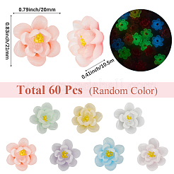 60 шт. светящиеся прозрачные кабошоны из эпоксидной смолы&nbsp;CRES-SC0003-04