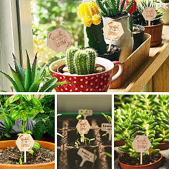 Этикетки для растений WOOD-GA0001-19