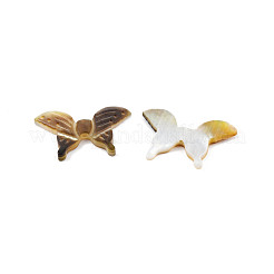 Shell perle naturali labbro nero&nbsp;SSHEL-N003-146