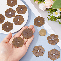12 Stück Messing-Griffscheiben&nbsp;DIY-FH0010-54B-AB
