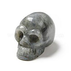 Decorazioni espositive in labradorite naturale di halloween&nbsp;DJEW-K015-29