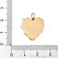 Pendentifs en acier inoxydable 304&nbsp;STAS-K307-02A-G