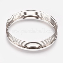 Fili di ferro, platino, 55mm di diametro, 24 gauge, 0.5 mm di larghezza, 10loops / pc