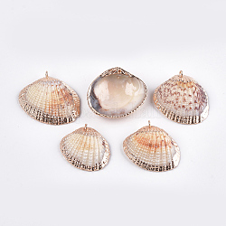 Pendentifs coquille de mer, avec les accessoires en fer, or clair, couleur de coquillage, 27~34x31~38x9~11mm, Trou: 1mm