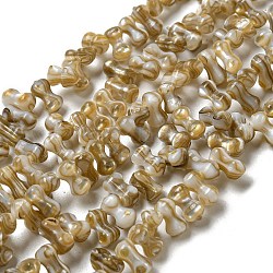 Eau douce naturelle de coquillage perles brins, os, verge d'or noir, 6~7x3~4mm, Trou: 0.9mm, Environ 97 pcs/chapelet, 15.08~15.28 pouce (38.3~38.8 cm)