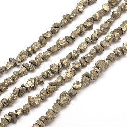 Natürliche Pyrit Nuggets Perlen Stränge, 5~8x3~6 mm, Bohrung: 1 mm, etwa 15.7 Zoll