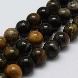 Natürliche versteinertes Holz Perlenstränge, Runde, 8 mm, Bohrung: 1 mm, ca. 47 Stk. / Strang, 14.9 Zoll (38 cm)