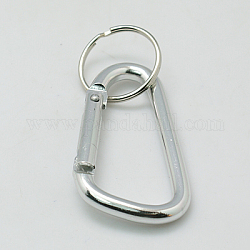 Aluminium mousqueton pour les clés, avec des fermoirs de fer, ovale, couleur d'argent, 57x30.5mm