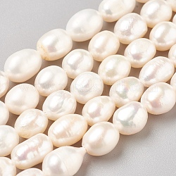 Brins de perles de culture d'eau douce naturelles ovales, blanc antique, 8~14x5~8mm, Trou: 0.8mm, Environ 33~34 pcs/chapelet, 13.3 pouce
