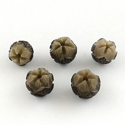 Perles Bodhi non teintées et naturelles, perles de lotus sculptées, perles bouddha, noir, 10~13.5x10~13mm, Trou: 2mm