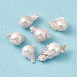 Perles de perles de keshi naturelles baroques, pépites, couleur de coquillage, 22.5~38.5x17~19x13~16.5mm, Trou: 0.7mm
