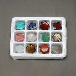 Gemstone Pendants, with Brass Clasps, Mixed Stone, Flower, Mixed Color, 25x20x5.5mm, Hole: 6x2mm, 12pcs/box