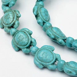 Chapelets de perle en turquoise synthétique teinte, tortue, turquoise, 17~18x14x6~8mm, Trou: 1mm, Environ 23 pcs/chapelet, 15 pouce