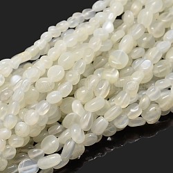 Perlas de pepitas de piedra de luna blanca natural hebras, piedra caída, 5~10x6~7x3~7mm, agujero: 1 mm, aproximadamente 14.9 pulgada ~ 15.7 pulgadas