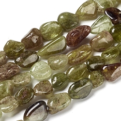 Chapelets de perles de grenat naturel, pierre roulée, pépites, 5~15.5x4.5~11x3.5~7.5mm, Trou: 0.8mm, Environ 42 pcs/chapelet, 15.75 pouce (40 cm)