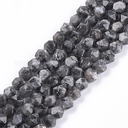 Brins de perles de larvikite naturelles, facette, ronde, 8x8x8mm, Trou: 1mm, Environ 47~50 pcs/chapelet, 14.5 pouce ~ 15.7 pouces
