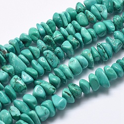 Brins de perles de magnésite naturelle, teints et chauffée, pépites, 9~18x8~12x2~6mm, Trou: 2mm, 15.7 pouce (40 cm)