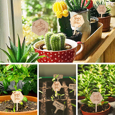 Этикетки для растений&nbsp;WOOD-GA0001-19-1