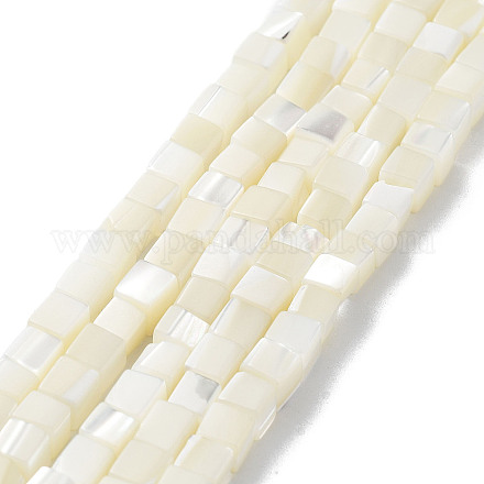 Brins de perles de coquillages naturels de troca SHEL-M020-01-1