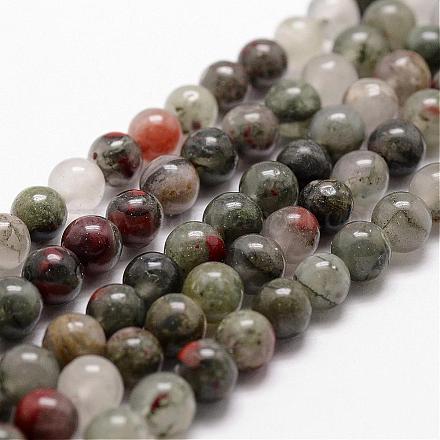 Natural African Bloodstone Beads Strands G-D840-66-10mm-1