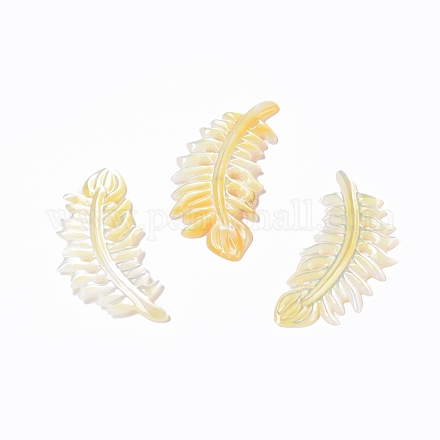 Cabochons shell amarillo naturales SSHEL-L016-008C-1