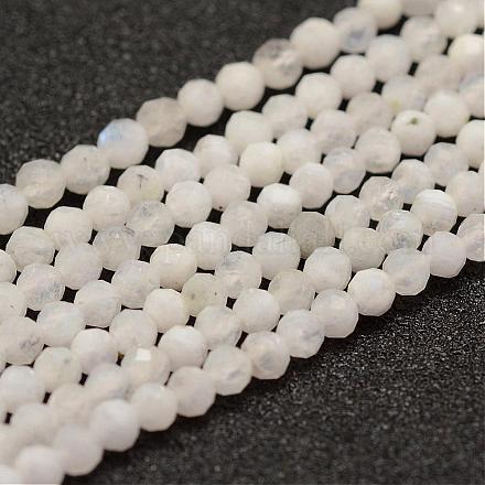 Brins de perles de pierre de lune arc-en-ciel naturel G-F460-44-1