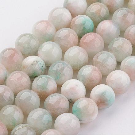 Natur persische Jade Perlen Stränge G-J356-20-10mm-1