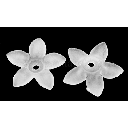 Transparentes abalorios de la flor de acrílico esmerilado X-PAB1936Y-10-1