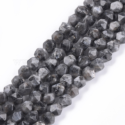 Brins de perles de larvikite naturelles G-S348-03-1