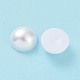 Cabujones de perlas de imitación de plástico ABS SACR-XCP0001-04A-3
