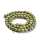 Natural Alashan Agate Beads Strands G-E598-03A-2