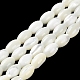 Brins de perles de coquillages naturels de troca BSHE-E030-02B-2