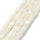 Brins de perles de coquillages naturels de troca SHEL-M020-01-1