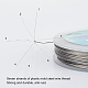 BENECREAT 100m 0.3mm 7-Strand Tiger Tail Beading Wire 201 Stainless Steel Nylon Coated Craft Jewelry Beading Wire for Crafts Jewelry Making TWIR-BC0001-12-0.3mm-3