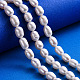 Grade A Natural Cultured Freshwater Pearl Beads PEAR-D072-1-5