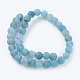 Natural Weathered Agate Beads Strands G-G589-10mm-14-2
